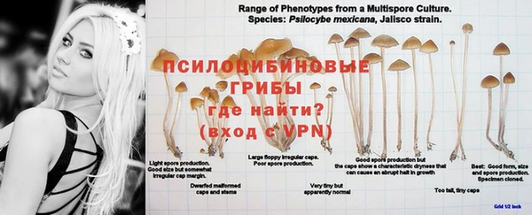 стафф Абдулино