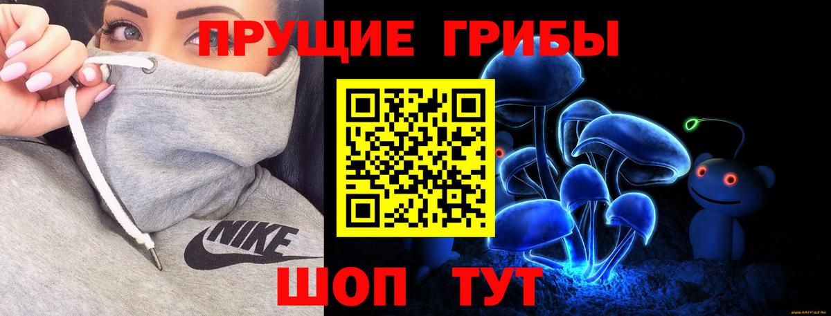 Сызрань  Галлюциногенные грибы Psilocybine cubensis  Вход с VPN  Галлюциногенные грибы Psilocybine cubensis 